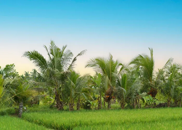 The Nugraha Private Pool With Rice Field View *