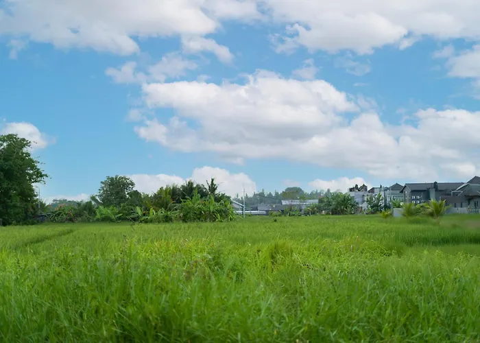 Villa The Nugraha Private Pool With Rice Field View Ubud